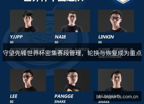 守望先锋世界杯密集赛段管理，轮换与恢复成为重点