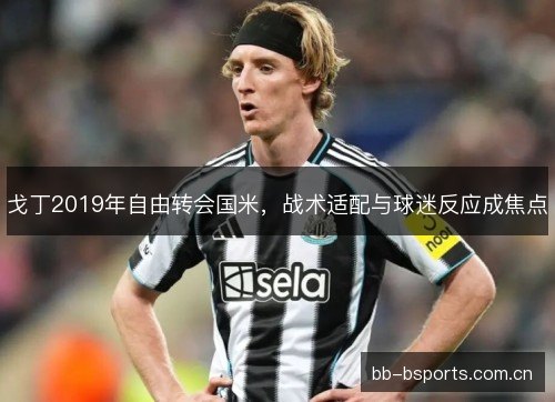 戈丁2019年自由转会国米，战术适配与球迷反应成焦点